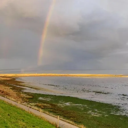 House In Holland With Big Garden Feriehus De Cocksdorp (Texel)