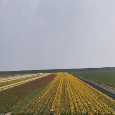 House In Holland With Big Garden *