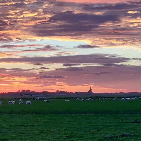 House In Holland With Big Garden