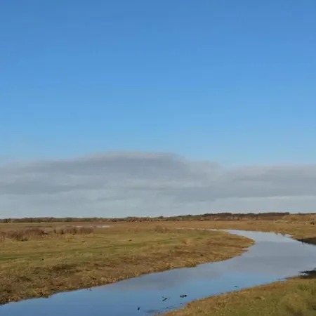 House In Holland With Big Garden Feriehus *