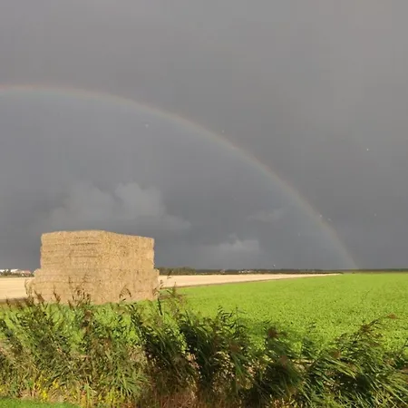 House In Holland With Big Garden De Cocksdorp (Texel)