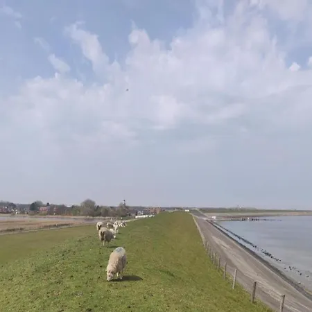 House In Holland With Big Garden
